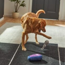 Frisco Halloween Mummy & Coffin Plush Squeaky Dog Toy -Pet Dog Toys 270437 PT3. AC SS1800 V1624817278