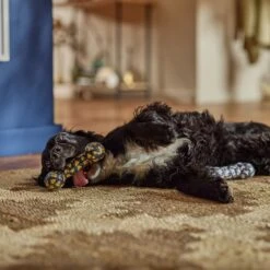 Frisco Halloween Candy Corn & Ghosts TPR Bone Squeaky Dog Toy, 2 Count -Pet Dog Toys 270529 PT3. AC SS1800 V1689876508