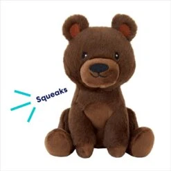 Frisco Camping Bear Plush Squeaky Dog Toy -Pet Dog Toys 270999 PT2. AC SS1800 V1686579090