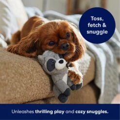 Frisco Camping Raccoon Plush Squeaky Dog Toy 12 Frisco Camping Raccoon Plush Squeaky Dog Toy -Pet Dog Toys 271003 PT4. AC SS1800 V1695670777
