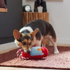 Frisco Camping Lantern Plush With Rope Squeaky Dog Toy 7 Frisco Camping Lantern Plush With Rope Squeaky Dog Toy -Pet Dog Toys 271013 PT3. AC SS1800 V1625160766