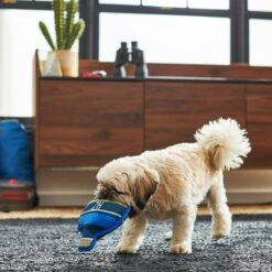 Frisco Camping Canteen Plush With Rope Squeaky Dog Toy -Pet Dog Toys 271022 PT3. AC SS1800 V1625009237