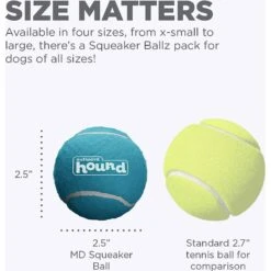 Outward Hound Squeaker Balls Medium Dog Toys, 6 Count -Pet Dog Toys 278083 PT2. AC SS1800 V1636513350