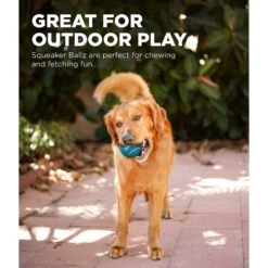 Outward Hound Squeaker Balls Small Dog Toys, 8 Count -Pet Dog Toys 278085 PT3. AC SS1800 V1636516946