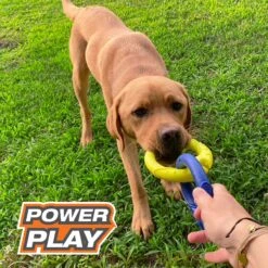 Nylabone Power Play Tug-a-Ball 2-in-1 Ball & Tug Dog Toy -Pet Dog Toys 278156 PT3. AC SS1800 V1614811315