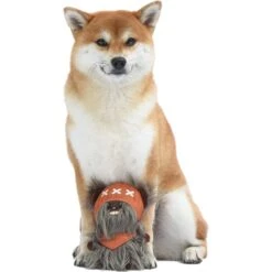 Fetch For Pets Star Wars: Ewok Squeaky Plush Dog Toy -Pet Dog Toys 279402 PT3. AC SS1800 V1619215359