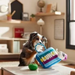 Frisco Back To School Lunchbox With Juice & Apple Plush With Rope Squeaky Dog Toy 7 Frisco Back To School Lunchbox With Juice & Apple Plush With Rope Squeaky Dog Toy -Pet Dog Toys 279427 PT3. AC SS1800 V1628191372