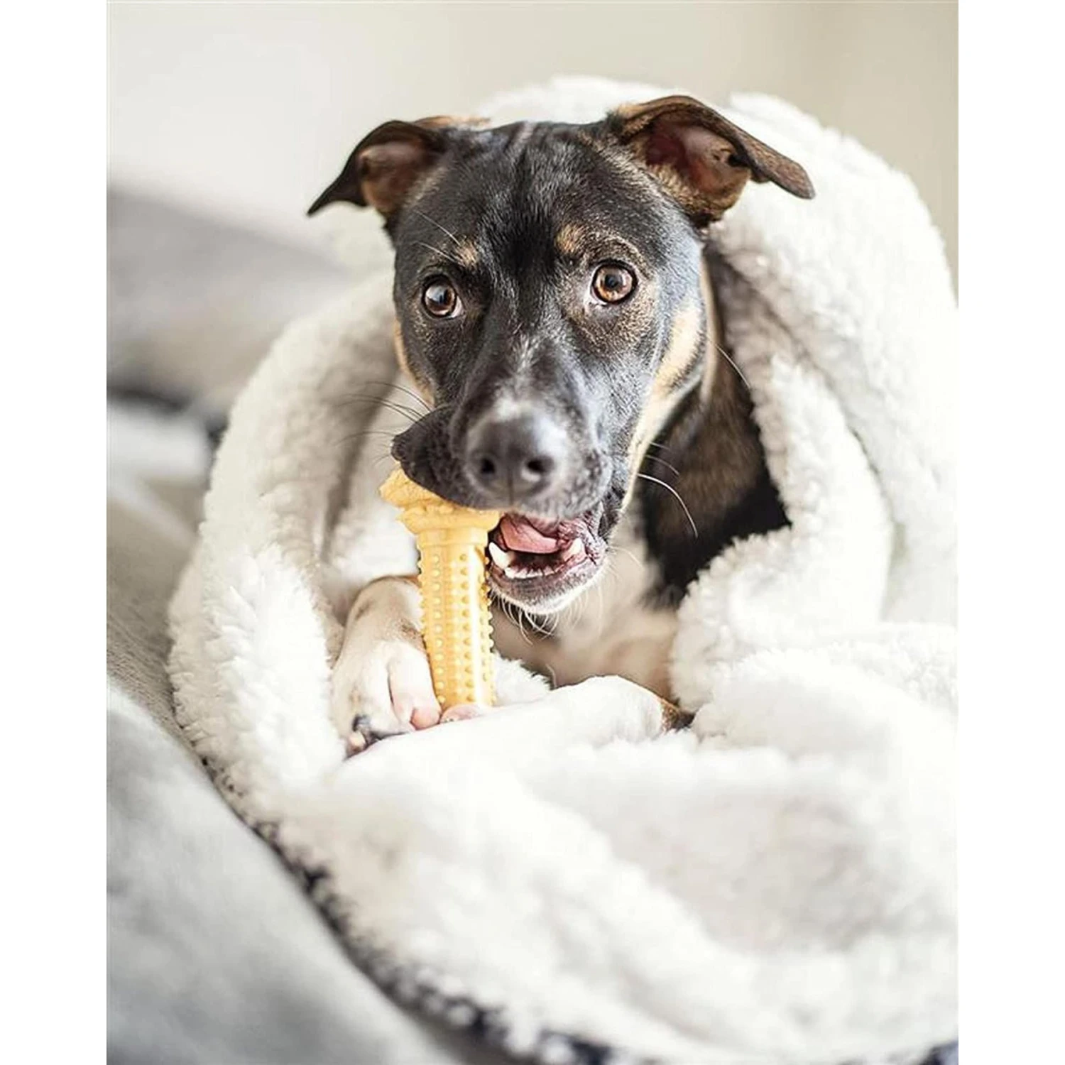 Nylabone Power Chew Nylon Dog Bones Bundle Chicken, Bacon & Peanut Butter 5 Nylabone Power Chew Nylon Dog Bones Bundle Chicken, Bacon & Peanut Butter - Image 3