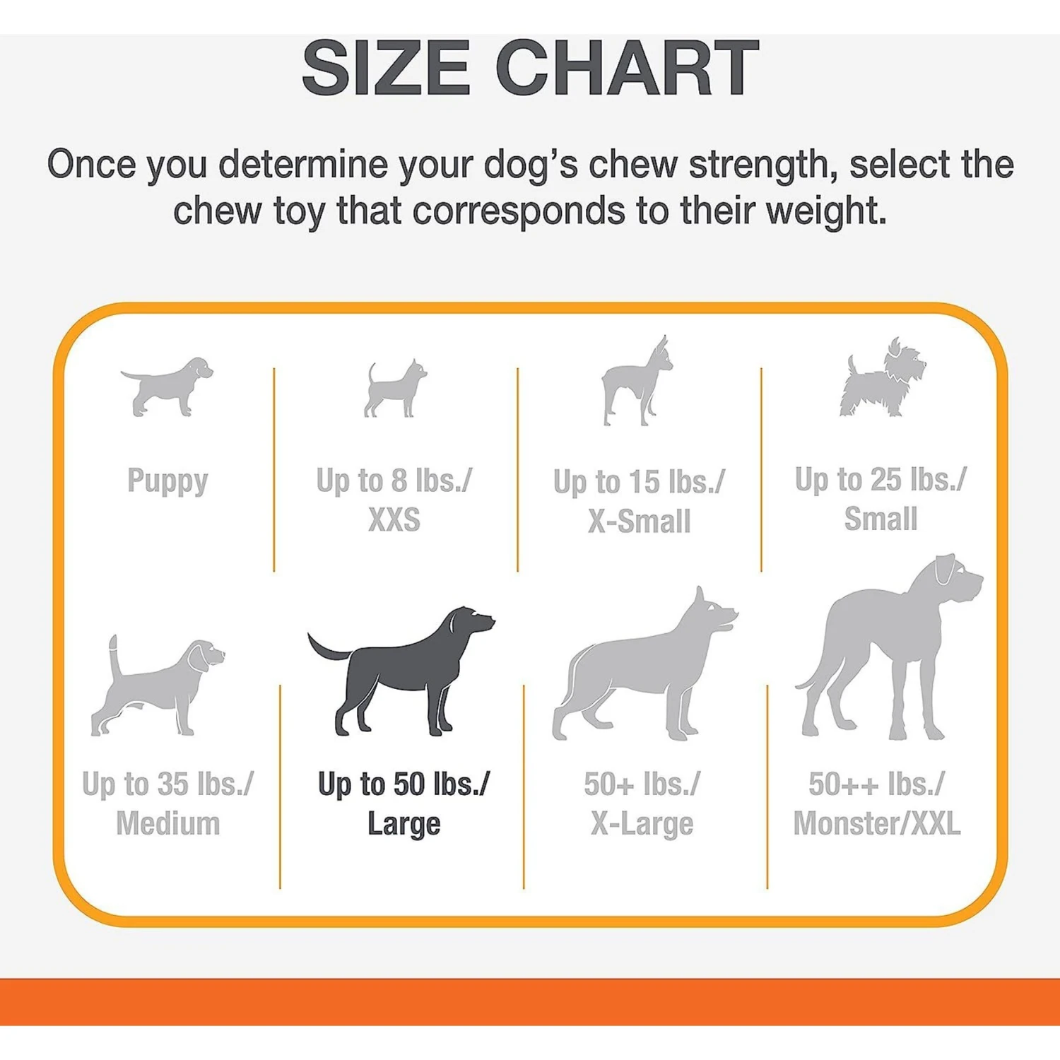 Nylabone Power Chew Nylon Dog Bones Bundle Chicken, Bacon & Peanut Butter 7 Nylabone Power Chew Nylon Dog Bones Bundle Chicken, Bacon & Peanut Butter - Image 5