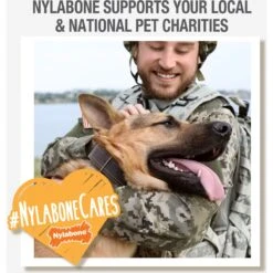 Nylabone Power Chew Nylon Dog Bones Bundle Chicken, Bacon & Peanut Butter 19 Nylabone Power Chew Nylon Dog Bones Bundle Chicken, Bacon & Peanut Butter -Pet Dog Toys 279847 PT8. AC SS1800 V1688393597