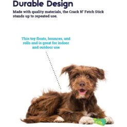 Petstages Crack N Fetch Stick Dog Chew Toy -Pet Dog Toys 280177 PT3. AC SS1800 V1636521988