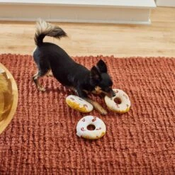 Frisco Fall Maple Bacon Donuts Plush Squeaky Dog Toy, 3 Count -Pet Dog Toys 285613 PT3. AC SS1800 V1629725241