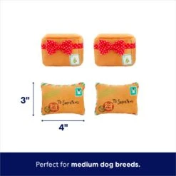 Frisco Holiday North Pole Mailbox Hide & Seek Puzzle Plush Squeaky Dog Toy -Pet Dog Toys 287095 PT2. AC SS1800 V1695043914