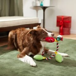 Frisco Holiday Lights Plush With Rope Squeaky Dog Toy -Pet Dog Toys 287109 PT3. AC SS1800 V1632775707