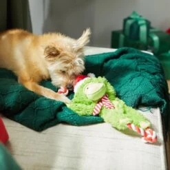 Frisco Holiday Monkey Plush With Rope Squeaky Dog Toy -Pet Dog Toys 287115 PT3. AC SS1800 V1632774182