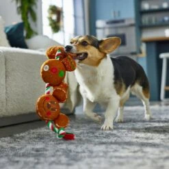 Disney Holiday Mickey & Minnie Mouse Gingerbread Cookies Plush With Rope Squeaky Dog Toy -Pet Dog Toys 287437 PT2. AC SS1800 V1695933067