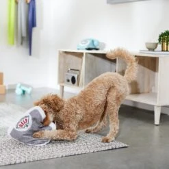 Frisco Scale Plush Squeaky Dog Toy -Pet Dog Toys 288911 PT3. AC SS1800 V1638289585