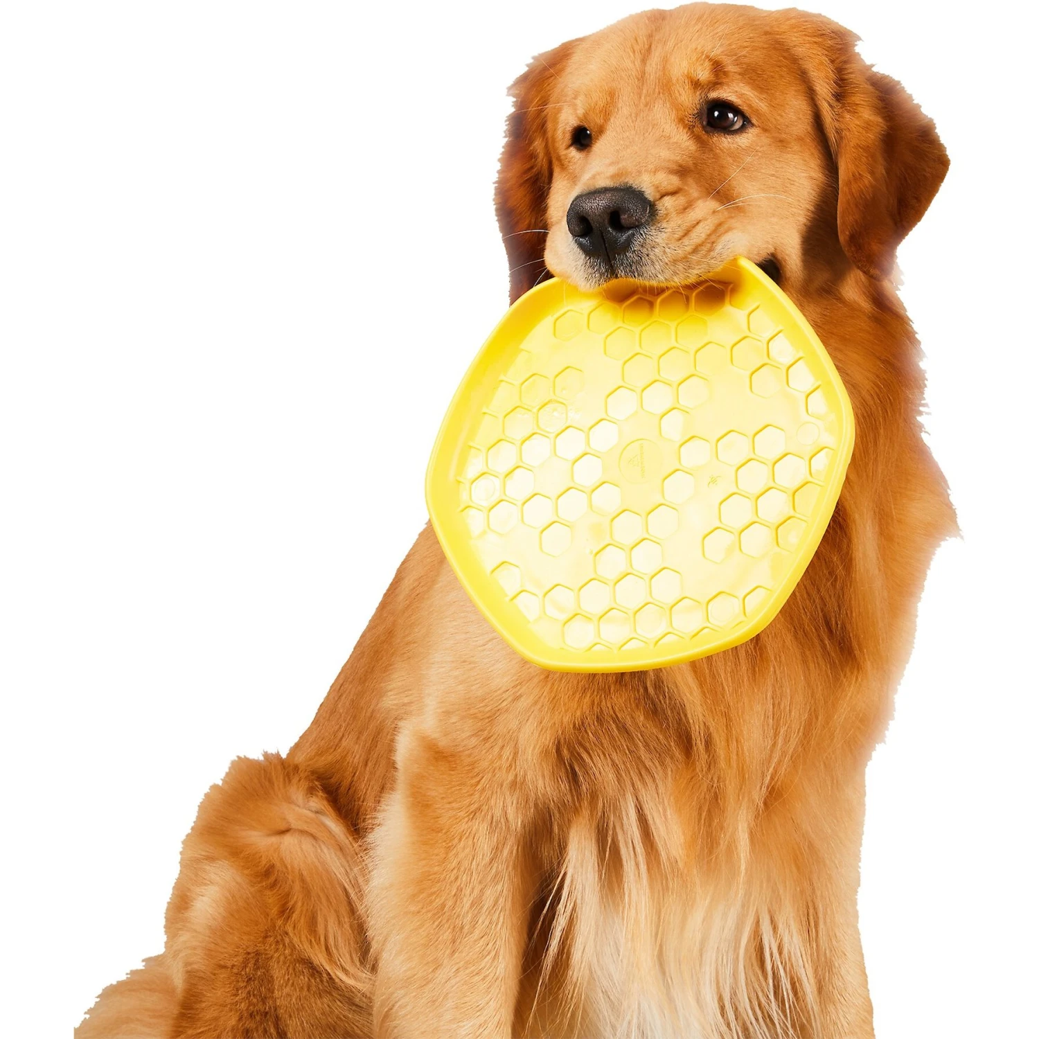 Project Hive Pet Company Frisbee Dog Toy 4 Project Hive Pet Company Frisbee Dog Toy - Image 2