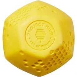 Project Hive Pet Company Ball Dog Toy