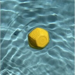 Project Hive Pet Company Ball Dog Toy -Pet Dog Toys 289450 PT2. AC SS1800 V1620167622