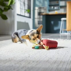 Frisco Brunch Bloody Mary Plush Squeaky Dog Toy -Pet Dog Toys 297228 PT2. AC SS1800 V1642088343