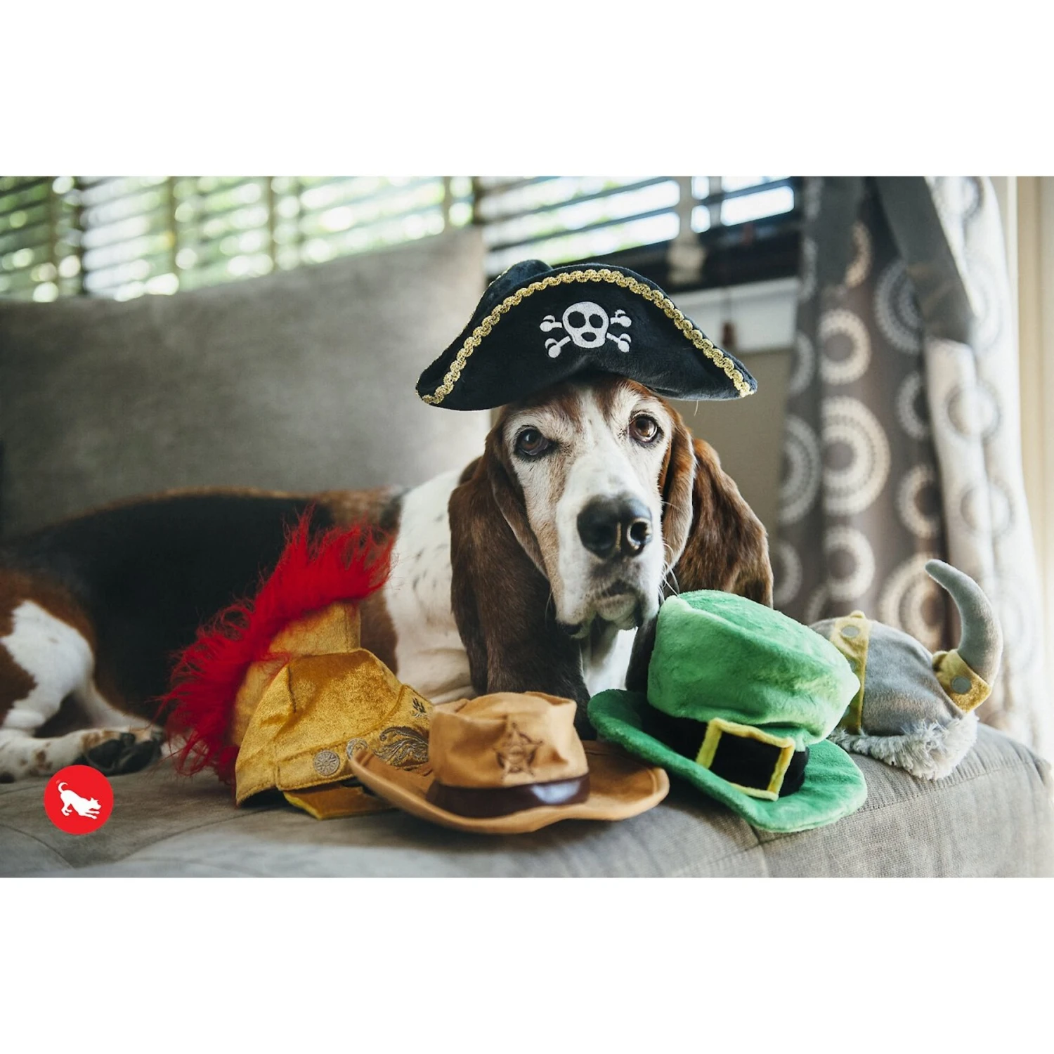 P.L.A.Y. Pet Lifestyle And You Mutt Hatter Squeaky Dog Toy, 5 Count 5 P.L.A.Y. Pet Lifestyle And You Mutt Hatter Squeaky Dog Toy, 5 Count - Image 3