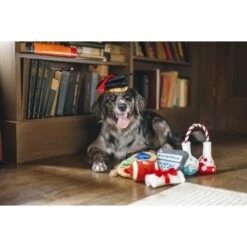 P.L.A.Y. Pet Lifestyle And You Back To School Squeaky Dog Toy, 5 Count -Pet Dog Toys 297628 PT2. AC SS1800 V1621032535