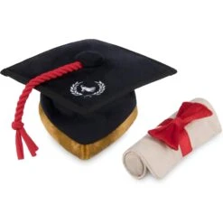 P.L.A.Y. Pet Lifestyle And You Back To School Squeaky Dog Toy, 5 Count -Pet Dog Toys 297628 PT6. AC SS1800 V1621030128