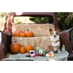 P.L.A.Y. Pet Lifestyle And You Howling Haunts Squeaky Dog Toy, 5 Count -Pet Dog Toys 297638 PT2. AC SS1800 V1621028055