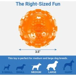 Frisco Fetch Squeaky TPR Ball Dog Toy & Bones & Chews Pig Ear Chews Dog Treats -Pet Dog Toys 297964 PT2. AC SS1800 V1623255143