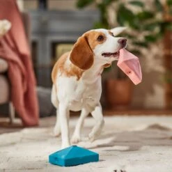 Frisco Valentine Love Letters Latex Squeaky Dog Toy 8 Frisco Valentine Love Letters Latex Squeaky Dog Toy -Pet Dog Toys 298925 PT3. AC SS1800 V1701365173