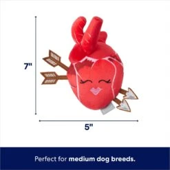 Frisco Valentine Anatomical Heart Plush Squeaky Dog Toy -Pet Dog Toys 298933 PT1. AC SS1800 V1701365188