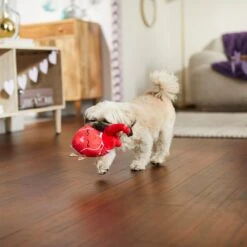 Frisco Valentine Anatomical Heart Plush Squeaky Dog Toy -Pet Dog Toys 298933 PT3. AC SS1800 V1638987632