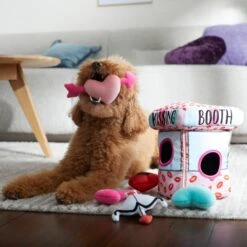 Frisco Valentine Kissing Booth Hide & Seek Puzzle Plush Squeaky Dog Toy 10 Frisco Valentine Kissing Booth Hide & Seek Puzzle Plush Squeaky Dog Toy -Pet Dog Toys 298943 PT3. AC SS1800 V1638987417