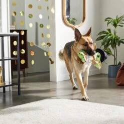 STAR WARS New Year's Eve THE MANDALORIAN GROGU Ballistic Nylon Plush Squeaky Dog Toy -Pet Dog Toys 298975 PT2. AC SS1800 V1637767146