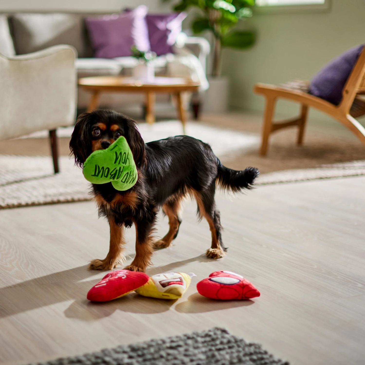 Marvel 's Valentine Candy Heart Heroes Plush Squeaky Dog Toy 6 Marvel 's Valentine Candy Heart Heroes Plush Squeaky Dog Toy - Image 4
