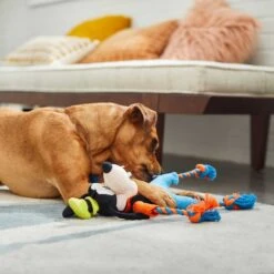 Disney Goofy Plush With Rope Squeaky Dog Toy & Disney Pluto Bottle Plush Squeaky Dog Toy -Pet Dog Toys 302342 PT3. AC SS1800 V1623081748