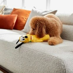 Disney Goofy Plush With Rope Squeaky Dog Toy & Disney Pluto Bottle Plush Squeaky Dog Toy -Pet Dog Toys 302342 PT6. AC SS1800 V1623052954