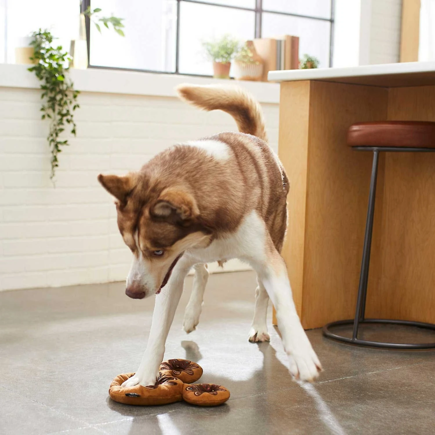 Disney Mickey Mouse Donut Plush Squeaky Dog Toy & Disney Minnie Mouse Donut Plush Squeaky Dog Toy 6 Disney Mickey Mouse Donut Plush Squeaky Dog Toy & Disney Minnie Mouse Donut Plush Squeaky Dog Toy - Image 4
