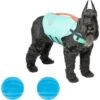 Frisco Active Dog Life Jacket & Frisco Foam Rubber Floating Fetch Ball No Squeak Dog Toy -Pet Dog Toys 303364 MAIN. AC SS1800 V1623163652