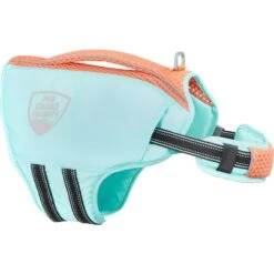 Frisco Active Dog Life Jacket & Frisco Foam Rubber Floating Fetch Ball No Squeak Dog Toy -Pet Dog Toys 303364 PT2. AC SS1800 V1623163059