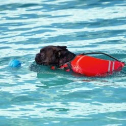 Frisco Active Dog Life Jacket & Frisco Foam Rubber Floating Fetch Ball No Squeak Dog Toy -Pet Dog Toys 303364 PT8. AC SS1800 V1623163654