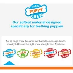 Nylabone Puppy Starter Kit With Chew Toys, Teething Kit & Chew Treat -Pet Dog Toys 304155 PT2. AC SS1800 V1693418695