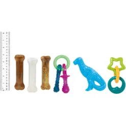 Nylabone Puppy Starter Kit With Chew Toys, Teething Kit & Chew Treat -Pet Dog Toys 304155 PT6. AC SS1800 V1693419176