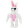 Frisco Easter Bunny Muscle Plush Squeaky Dog Toy -Pet Dog Toys 304976 MAIN. AC SS1800 V1642441114