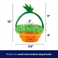 Frisco Easter Basket Hide & Seek Puzzle Plush Squeaky Dog Toy -Pet Dog Toys 304982 PT1. AC SS1800 V1702665736