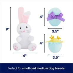 Frisco Easter Basket Hide & Seek Puzzle Plush Squeaky Dog Toy -Pet Dog Toys 304982 PT2. AC SS1800 V1702665735