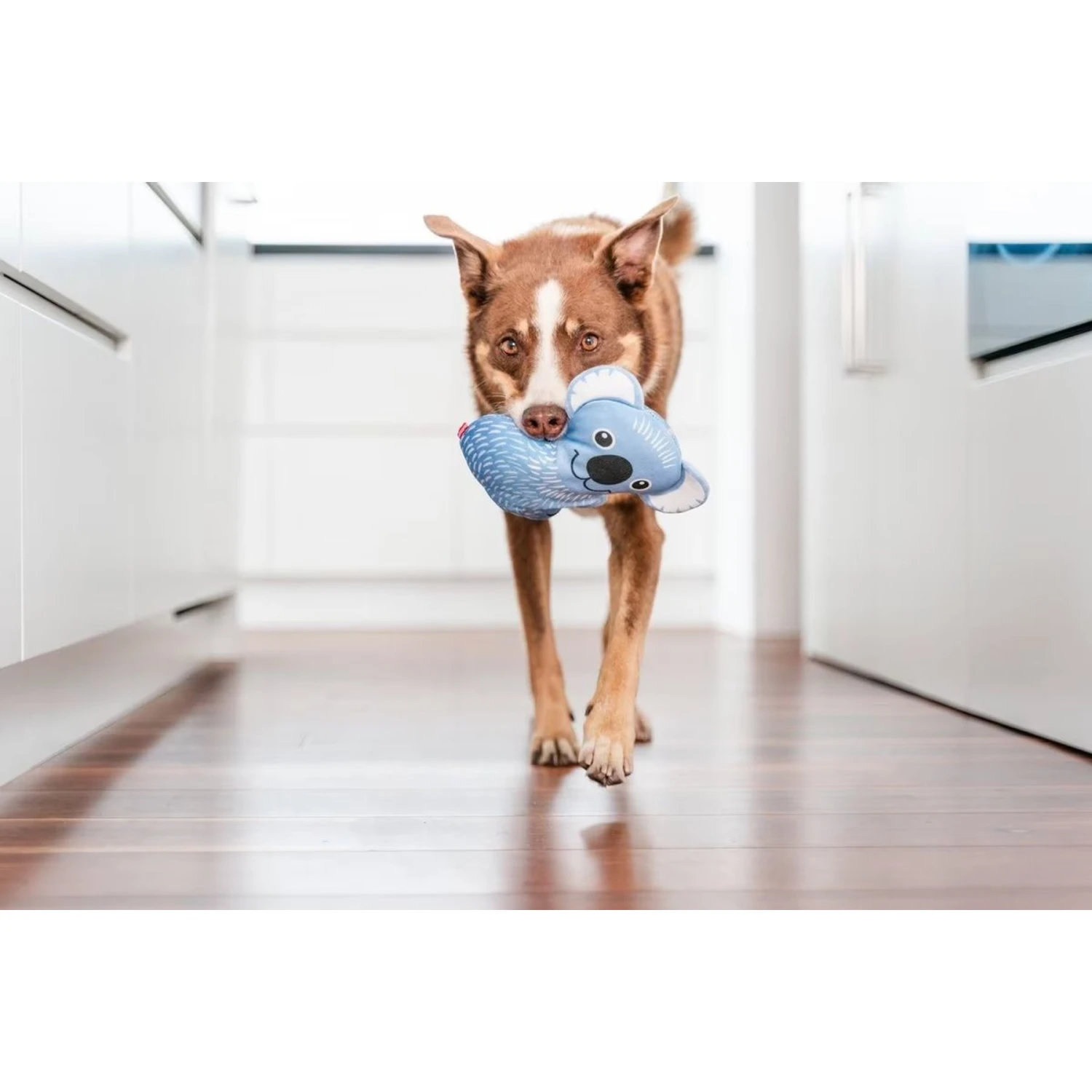 Red Dingo DURABLES Kim The Koala Squeaky Soft Dog Toy 4 Red Dingo DURABLES Kim The Koala Squeaky Soft Dog Toy - Image 2