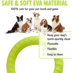 PetSpy Fitness Ring Dog Toy -Pet Dog Toys 309601 PT2. AC SS1800 V1624661580