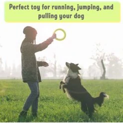PetSpy Fitness Ring Dog Toy -Pet Dog Toys 309601 PT4. AC SS1800 V1624663053